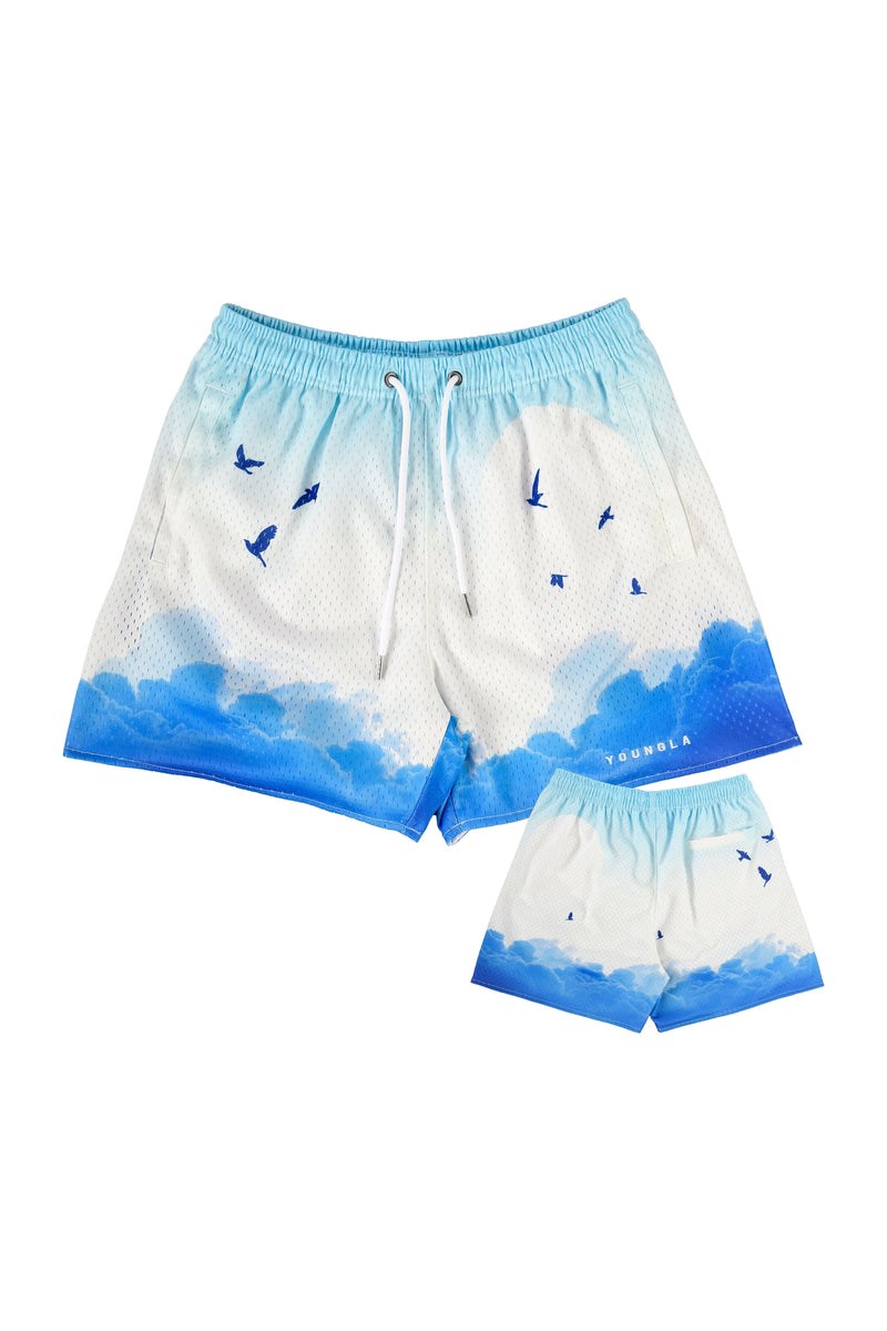 YoungLA 141 The Block Party Shorts Above the Clouds | 68473-FXDV